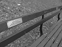 Kids-NYC_TheMET_3-2014 (11)